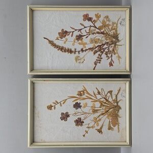 Vtg DINA Set of 2 Framed Pressed Dried Flowers Botanical Wall Art Germany Signed